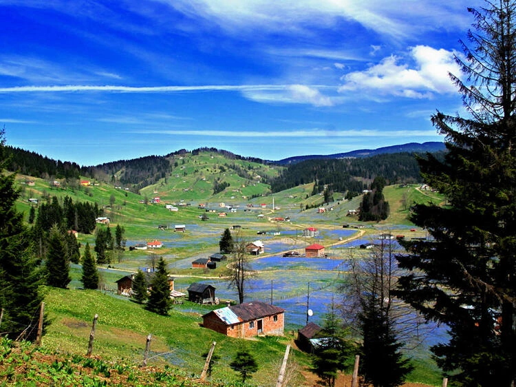 Karadeniz yaylalarında ürküten çöp yığınları