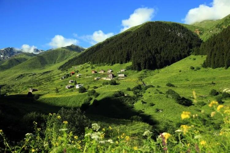 Karadeniz yaylalarında ürküten çöp yığınları