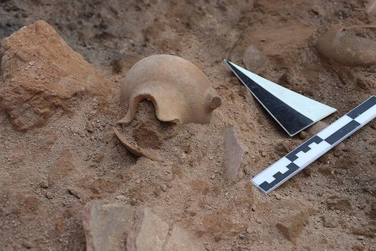 Höyükte bin 700 yıllık beyin ve deri kalıntıları bulundu