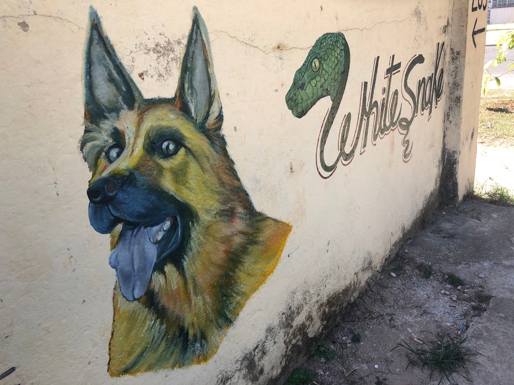 Havana sokaklarında duvar resimleri (Foto: Mehmet Demirkaya)