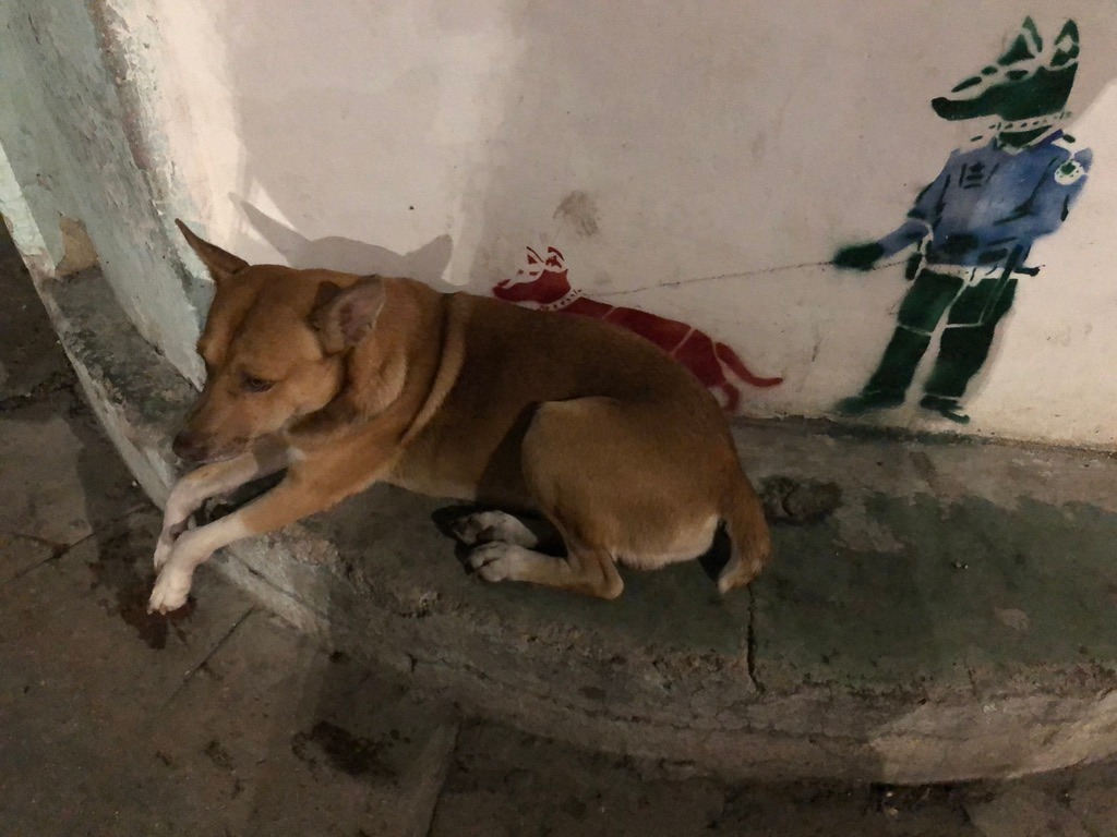 Havana sokaklarında duvar resimleri (Foto: Mehmet Demirkaya)