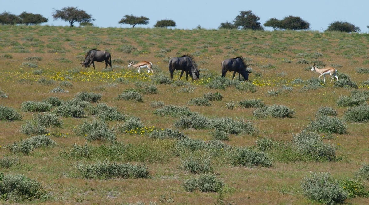 Güney Afrika gezisinden fotoğraflar