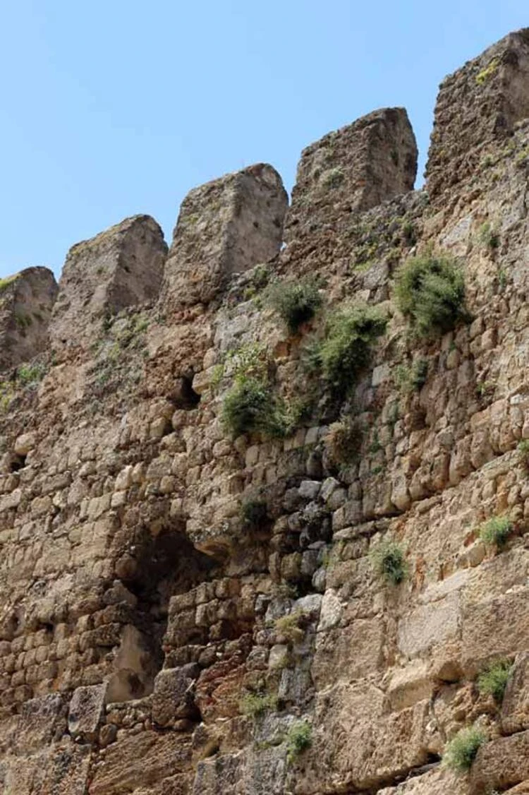 Hadrianus Kapısı bakımsızlıktan yeşerdi