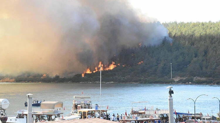 Bodrum'da orman yakan kişi attığı mesajla 2 yıl sonra yakalandı