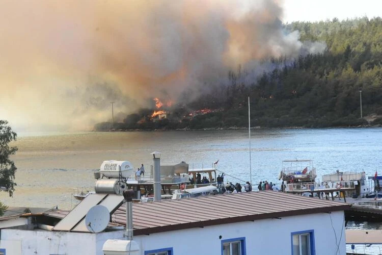 Bodrum'da orman yakan kişi attığı mesajla 2 yıl sonra yakalandı