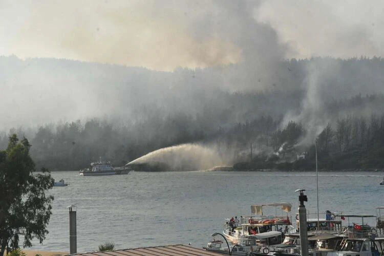 Bodrum'da orman yakan kişi attığı mesajla 2 yıl sonra yakalandı