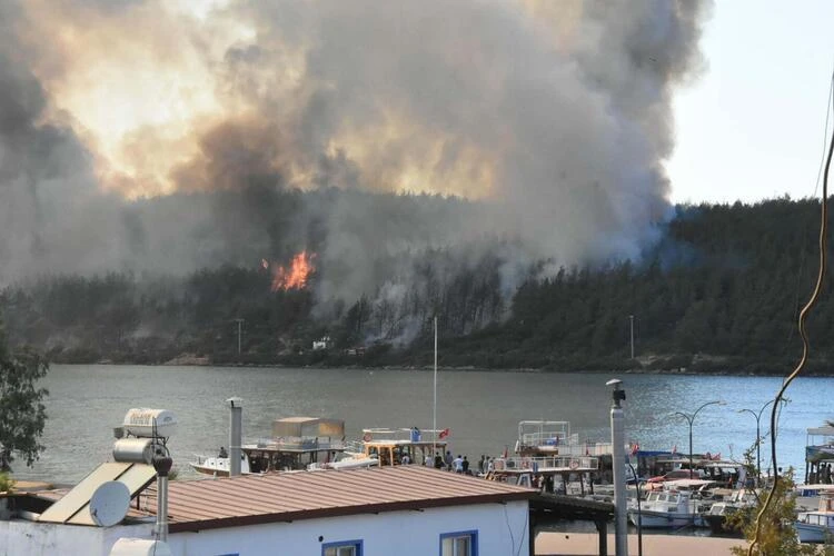 Bodrum'da orman yakan kişi attığı mesajla 2 yıl sonra yakalandı