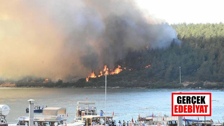 Bodrum'da orman yakan kişi attığı mesajla 2 yıl sonra yakalandı