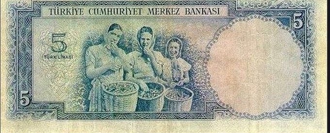 5 liralık banknottaki 'Fındık toplayan kızlar' fotoğrafının aslı (1952)