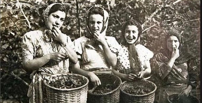 5 liralık banknottaki 'Fındık toplayan kızlar' fotoğrafının aslı (1952)