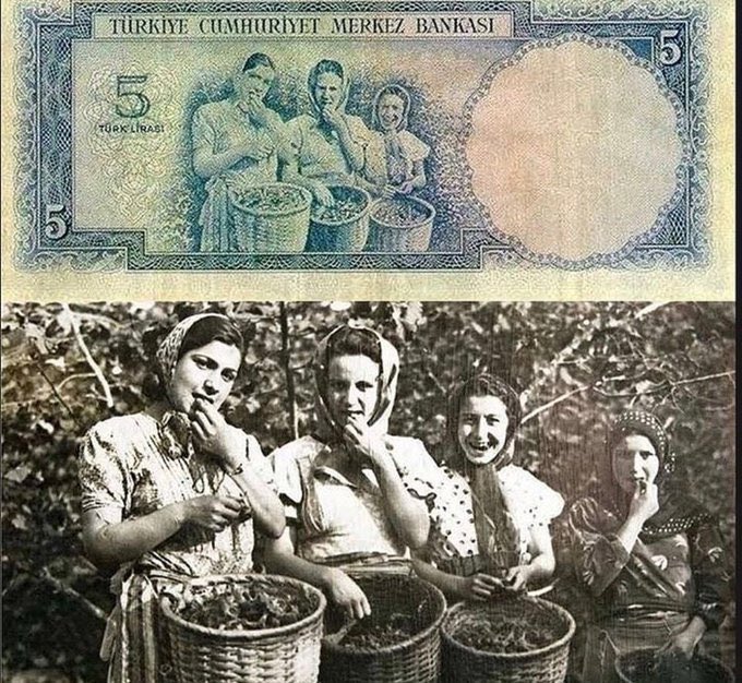 5 liralık banknottaki 'Fındık toplayan kızlar' fotoğrafının aslı (1952)