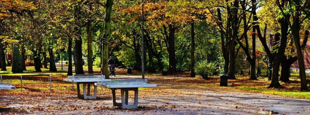 Köln Mülheim Parkı'ndan güz manzaraları  