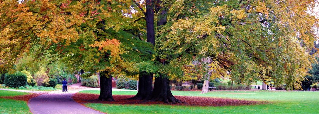 Köln Mülheim Parkı'ndan güz manzaraları  