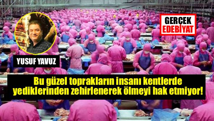 Gıda ülkesi nasıl gıdadan zehirlenenlerin ülkesi oldu / Yusuf Yavuz