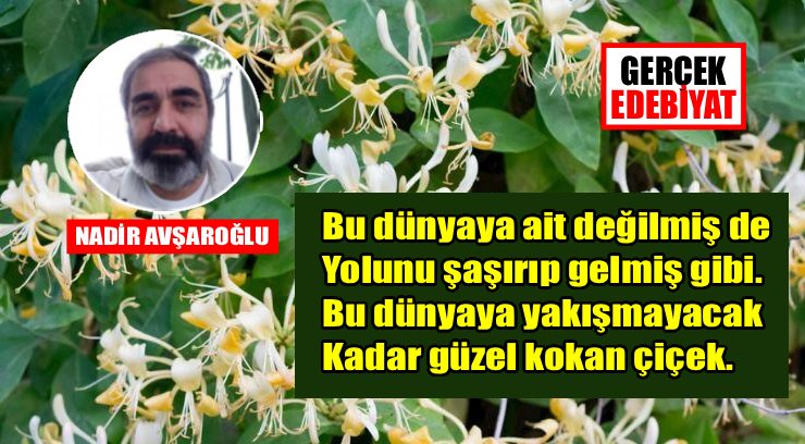 Çocukluğumun kokusu​