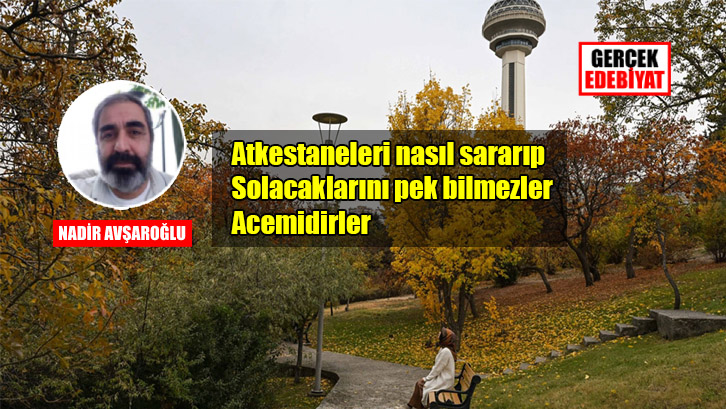 Ankara’nın ağaçları: At Kestaneleri