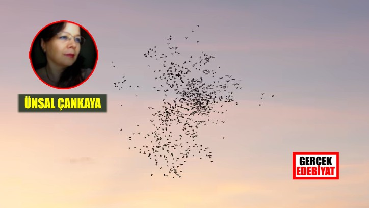 Kırlangıç hayalleri