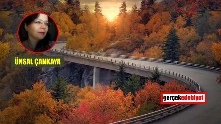 Sonbahar patı
