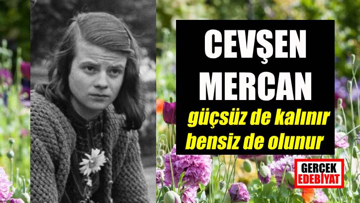 Beyaz gül / Cevşen Mercan
