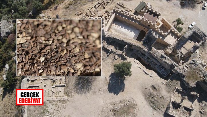 700 yıllık darı tohumu bulundu