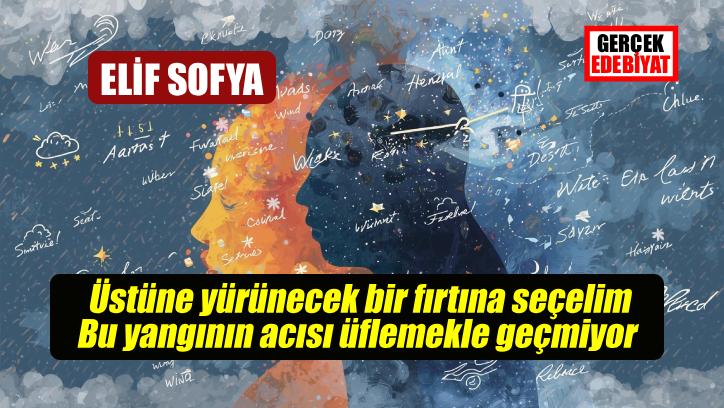 Meteorolojik hisler / Elif Sofya