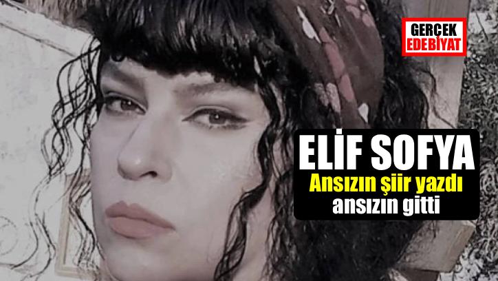 Elveda Elif görüşmek üzere / Osman Çakmakçı