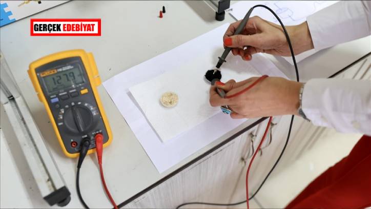 Kenevir ile kompozit üretilecek