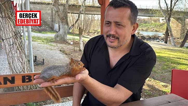 Yuvasından düşen yavru sincabı fındıkla besledi